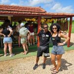 Locos por ir a cuba